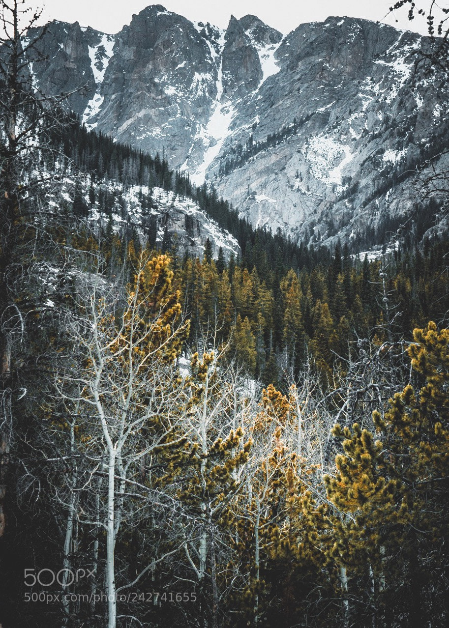 Sony a6500 sample photo. Elk mountains photography