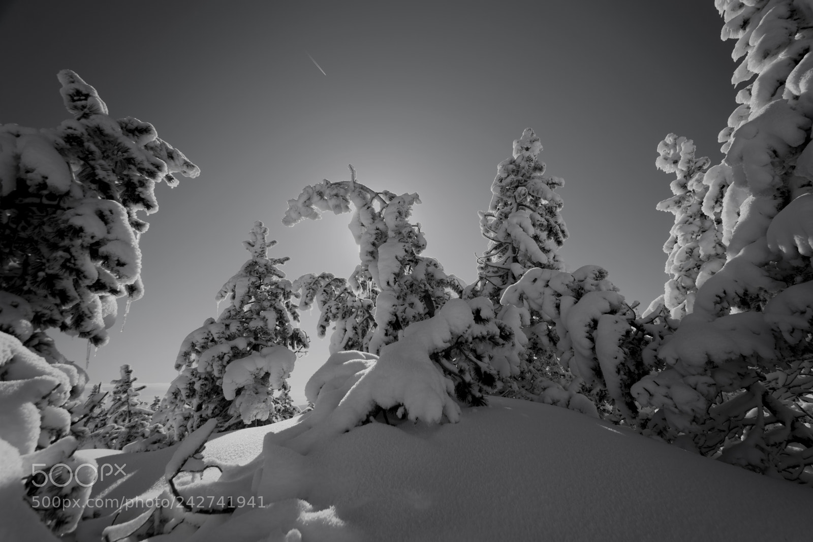 Nikon D7100 sample photo. Ventoux photography