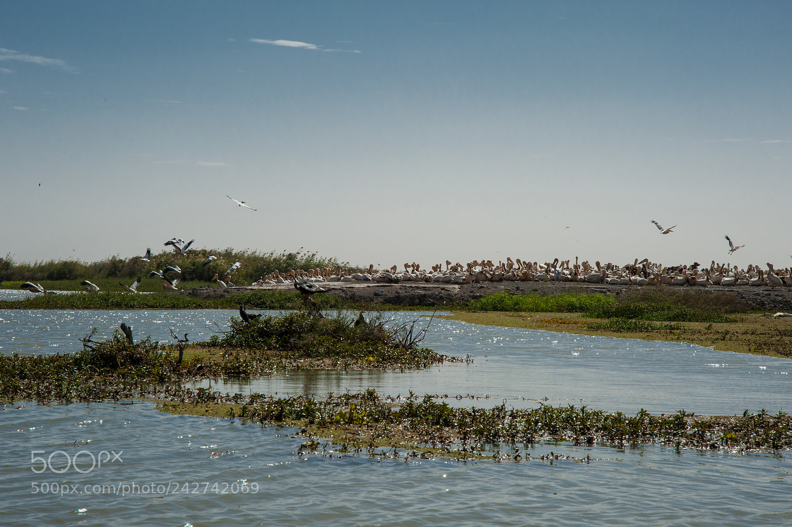 Nikon D700 sample photo. Senegal photography