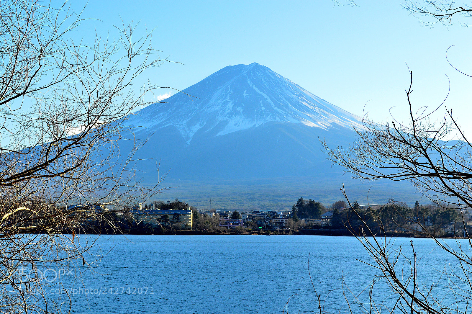 Nikon D3200 sample photo. Nature's perfection photography