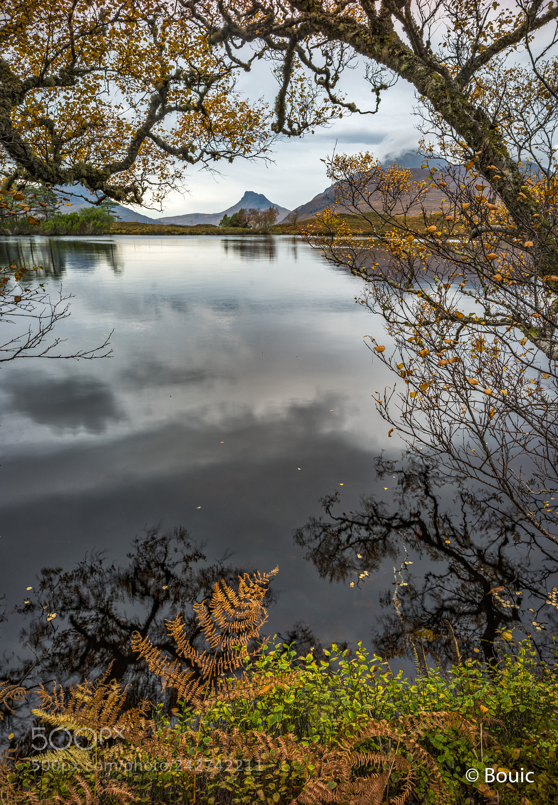 Leica SL (Typ 601) sample photo. Stac polly view photography