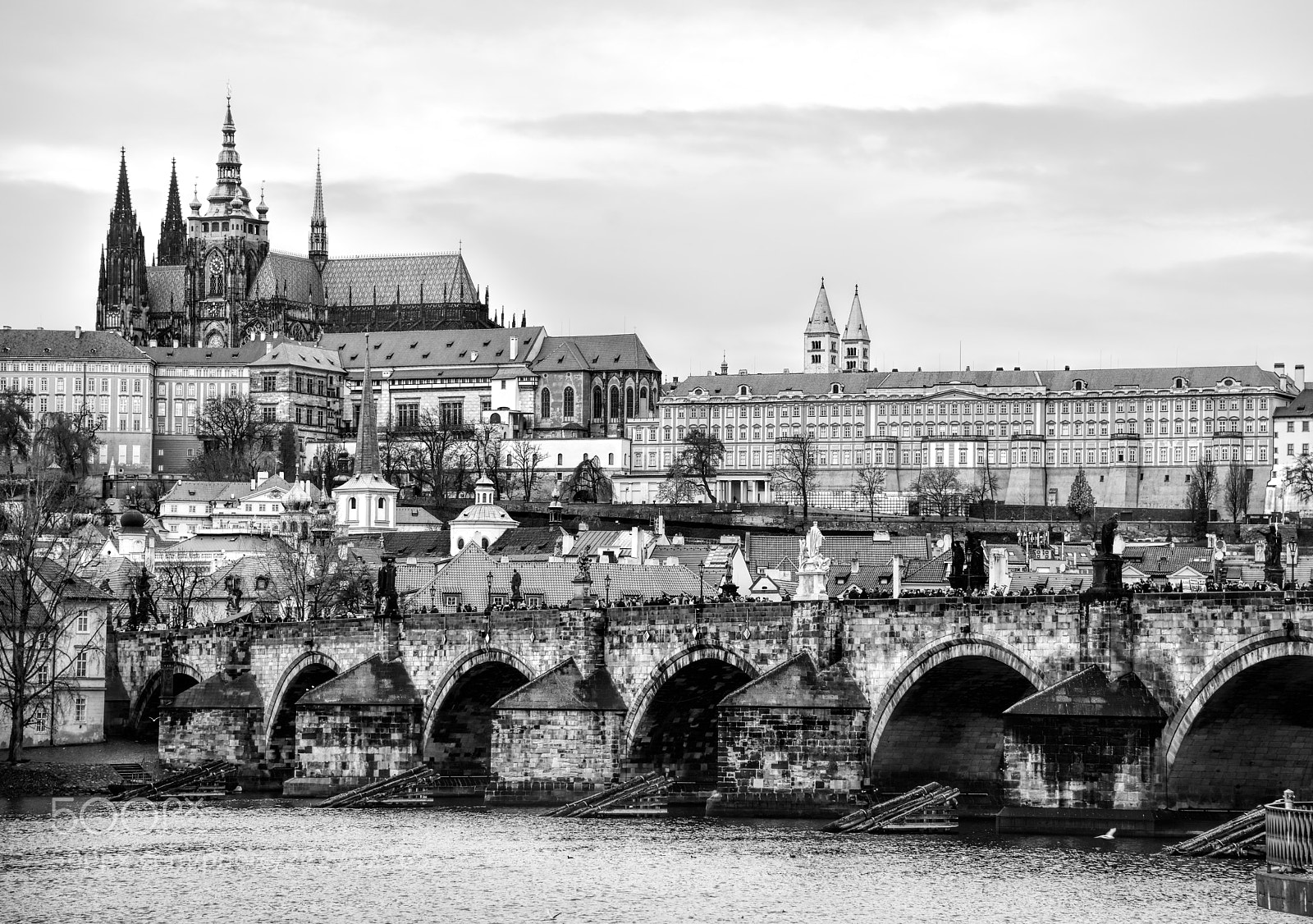 Nikon D810 sample photo. Charles bridge in prague photography