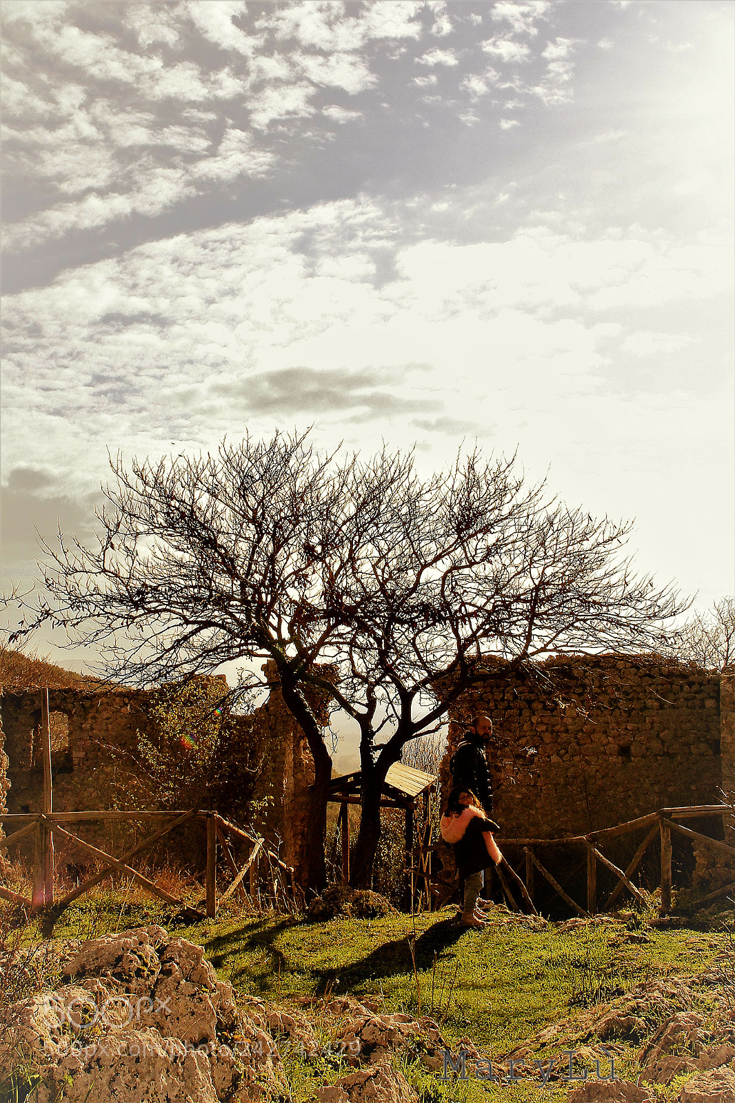 Canon EOS 60D sample photo. Untitled photography