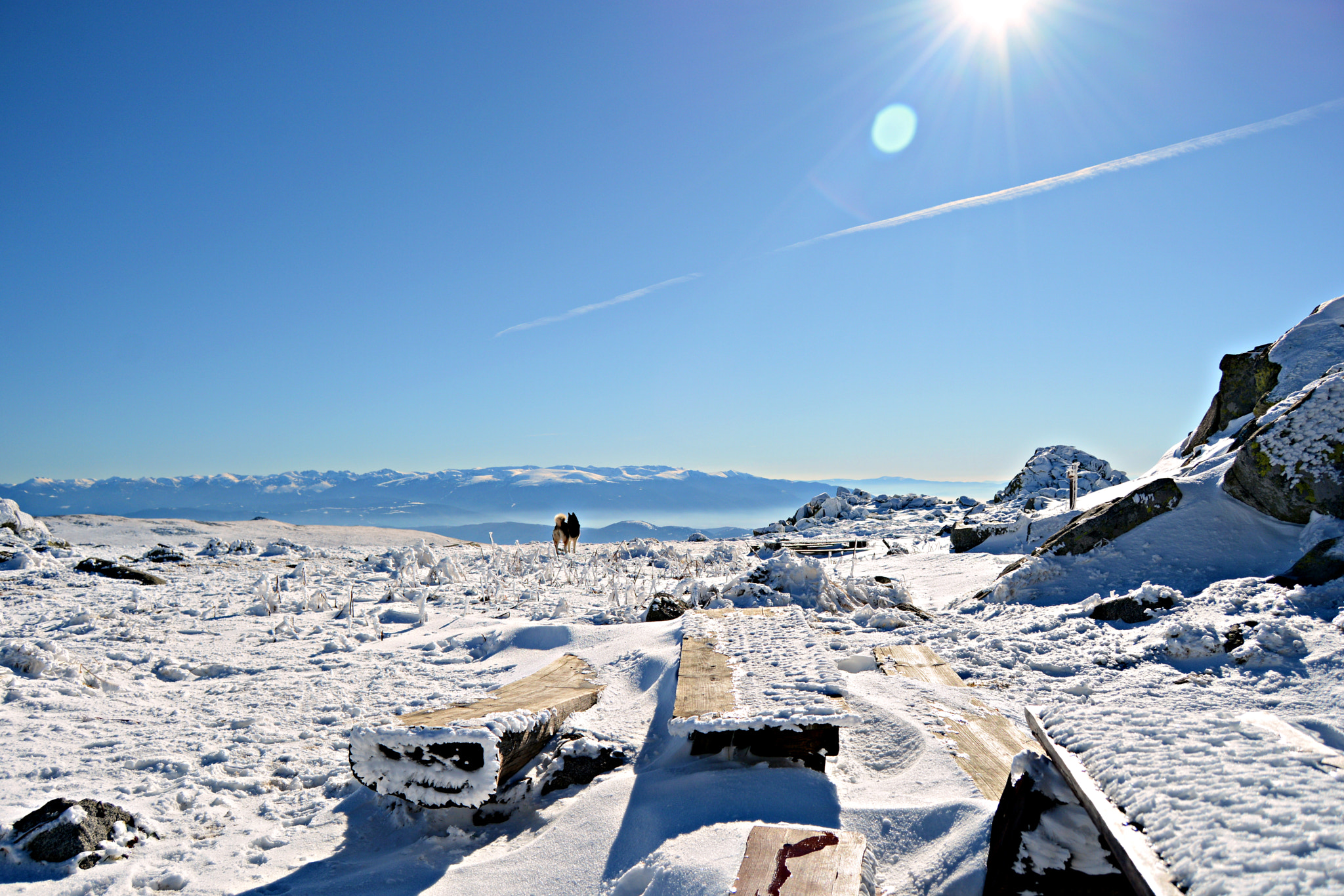 Nikon D7100 sample photo. Winter tale photography