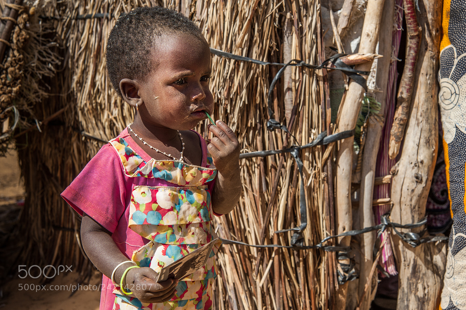Nikon D700 sample photo. Senegal photography