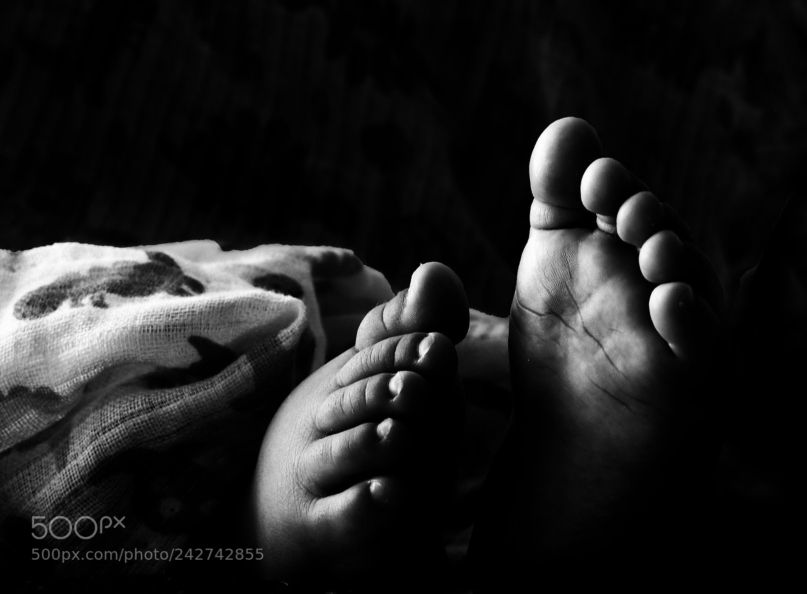 Nikon D500 sample photo. Little one... photography