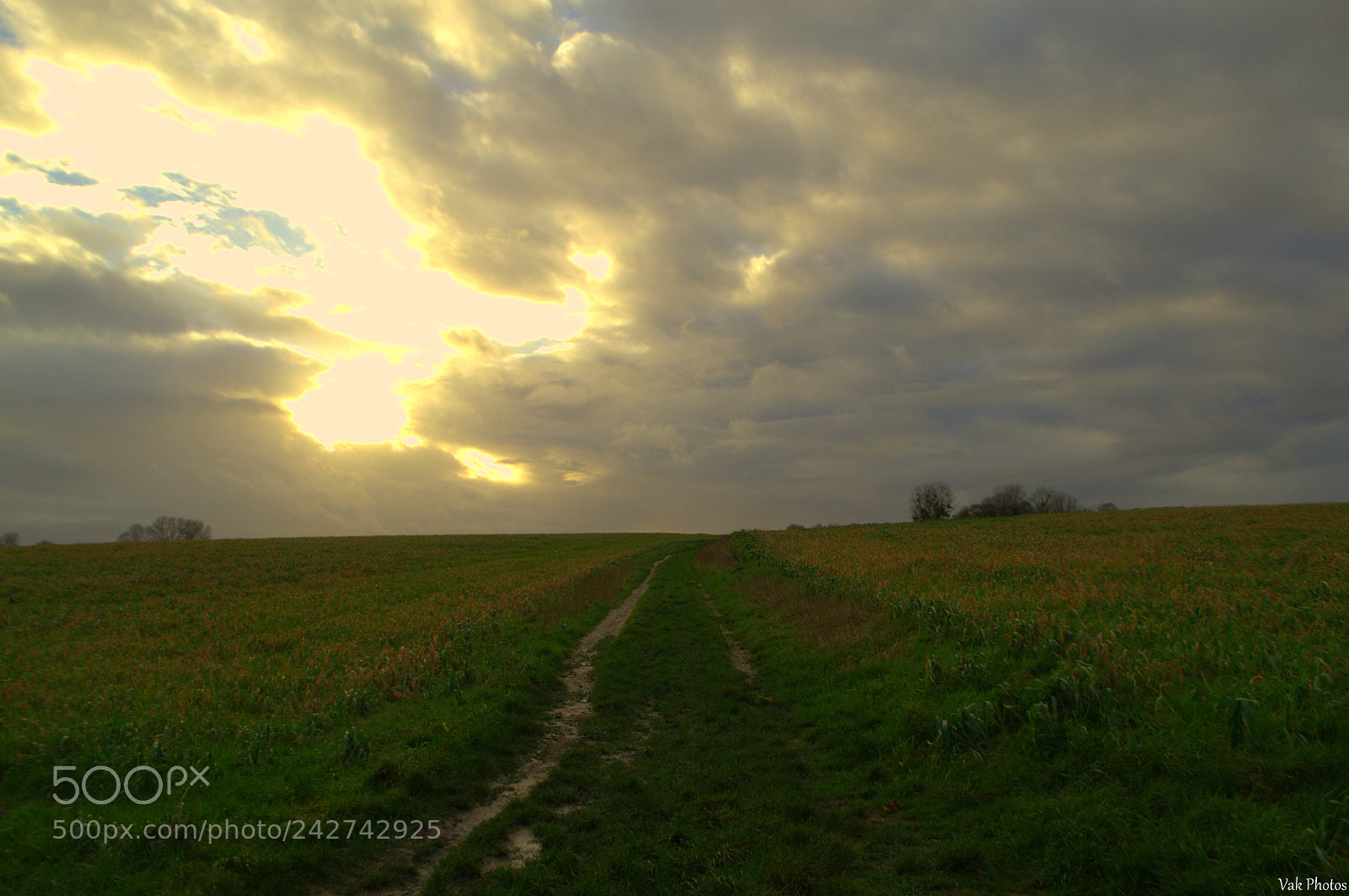 Nikon D3100 sample photo. Sunset photography