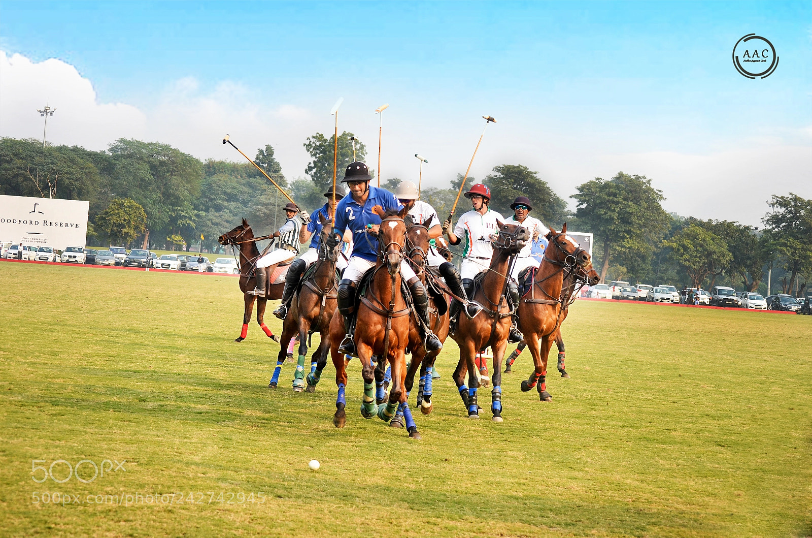 Nikon D5100 sample photo. Polo photography