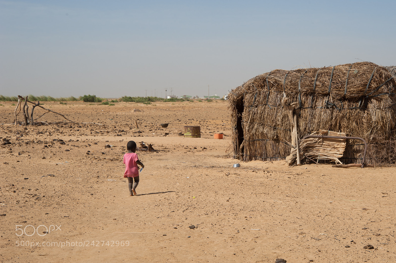 Nikon D700 sample photo. Senegal photography