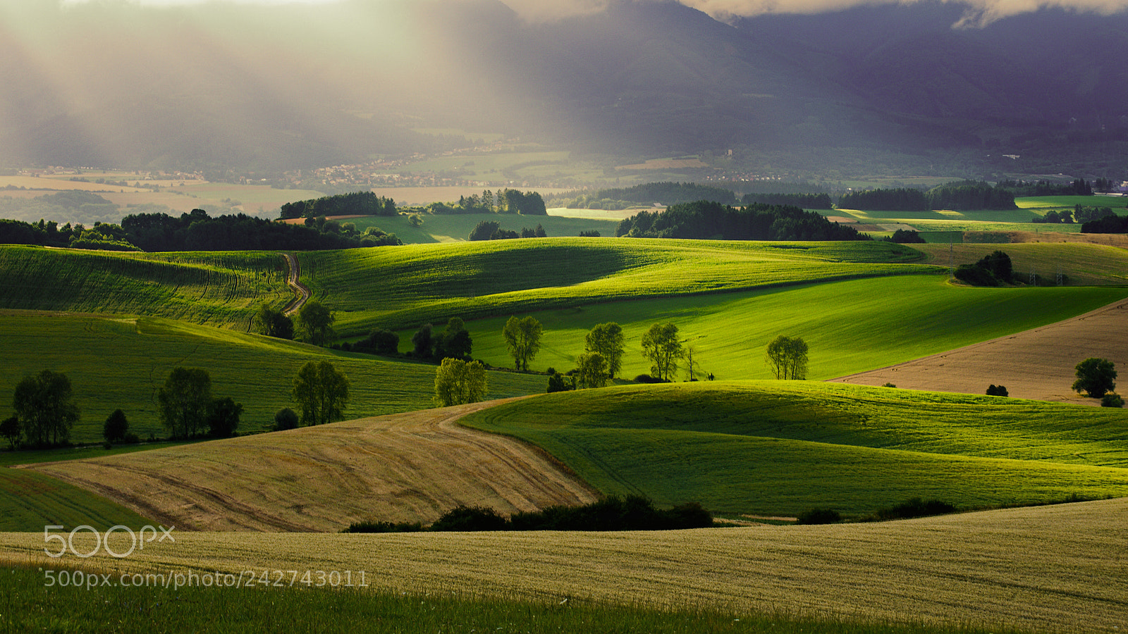 Nikon D5100 sample photo. Light in the country photography