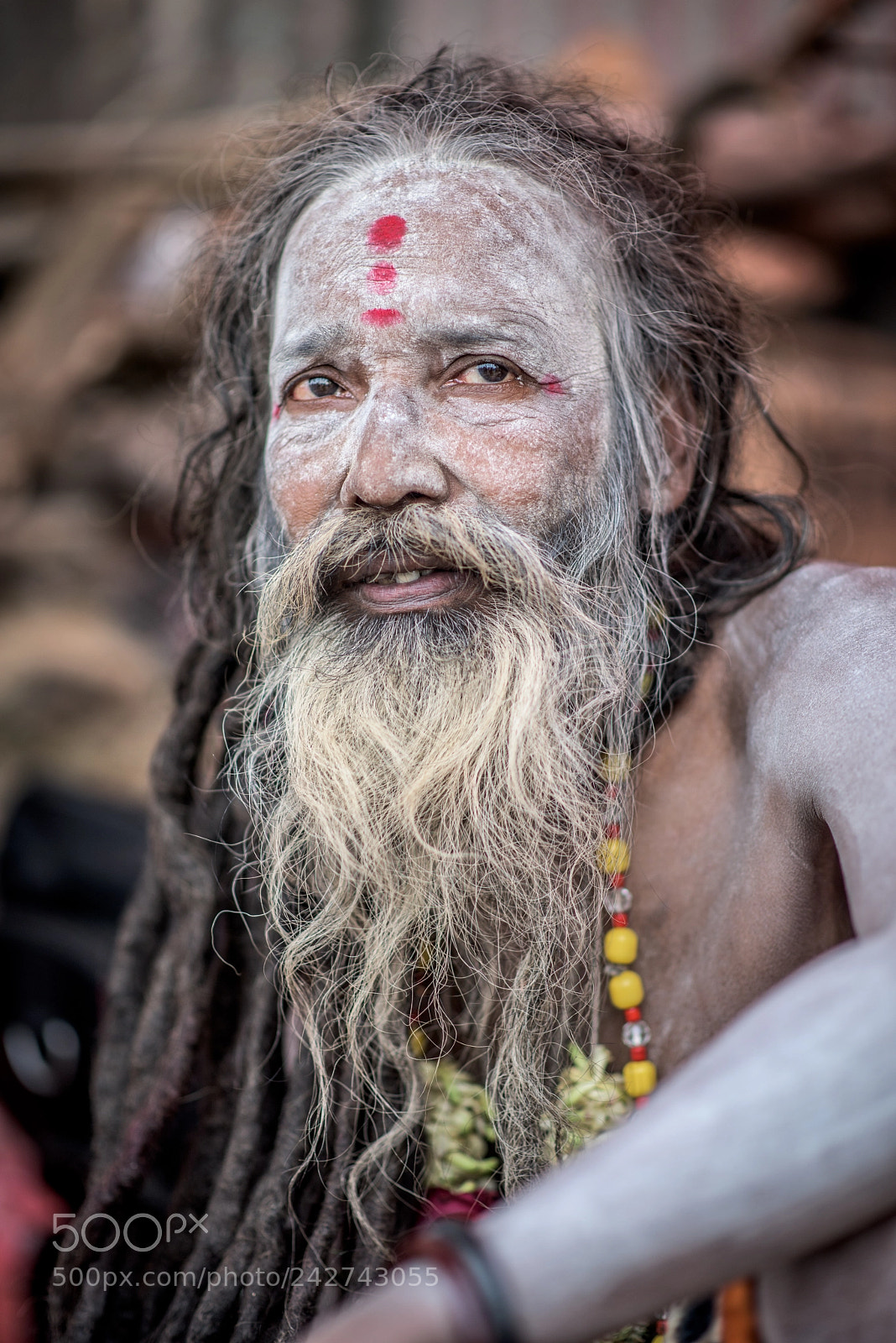 Nikon D810 sample photo. Happiness within photography
