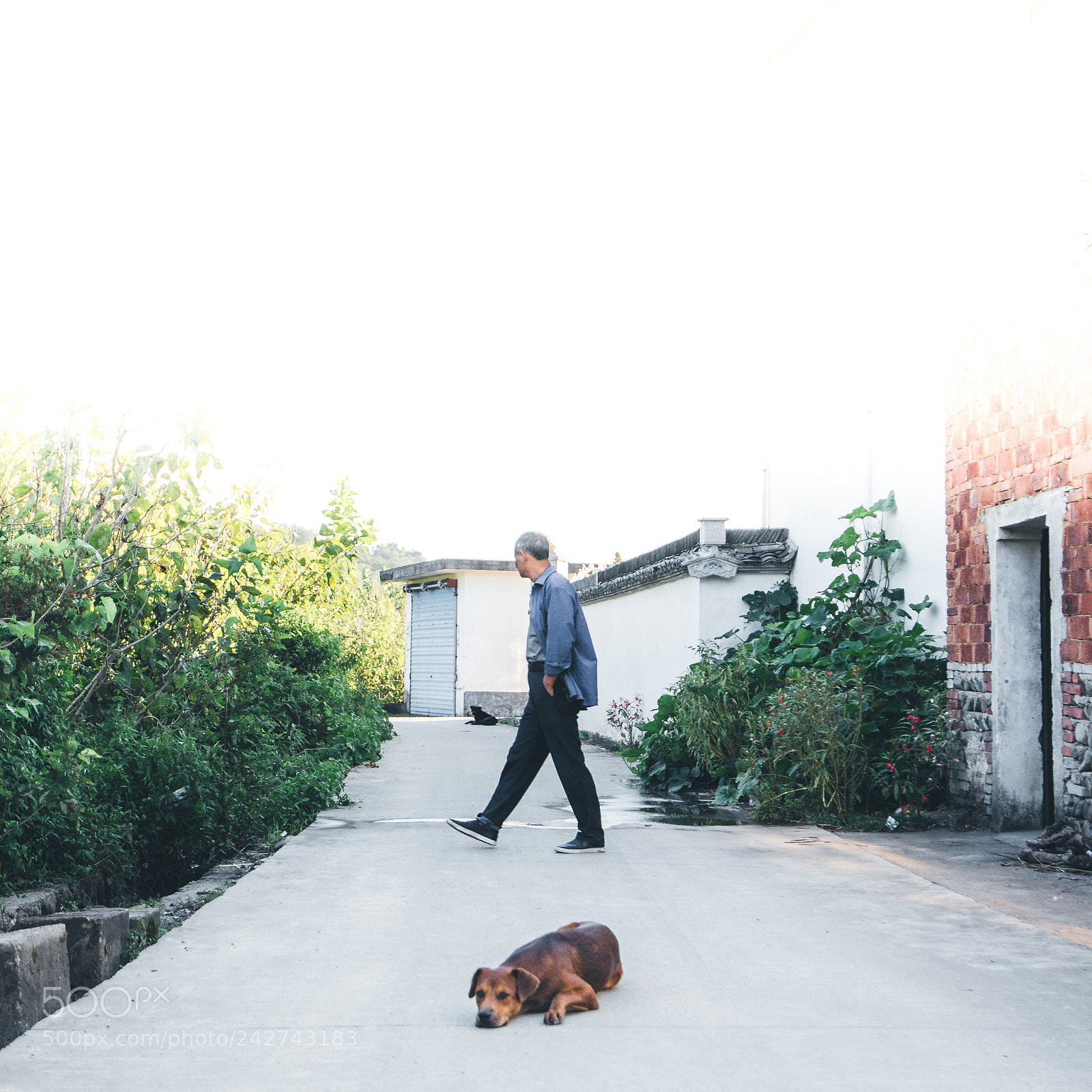 Sony a7 II sample photo. Hongcun photography