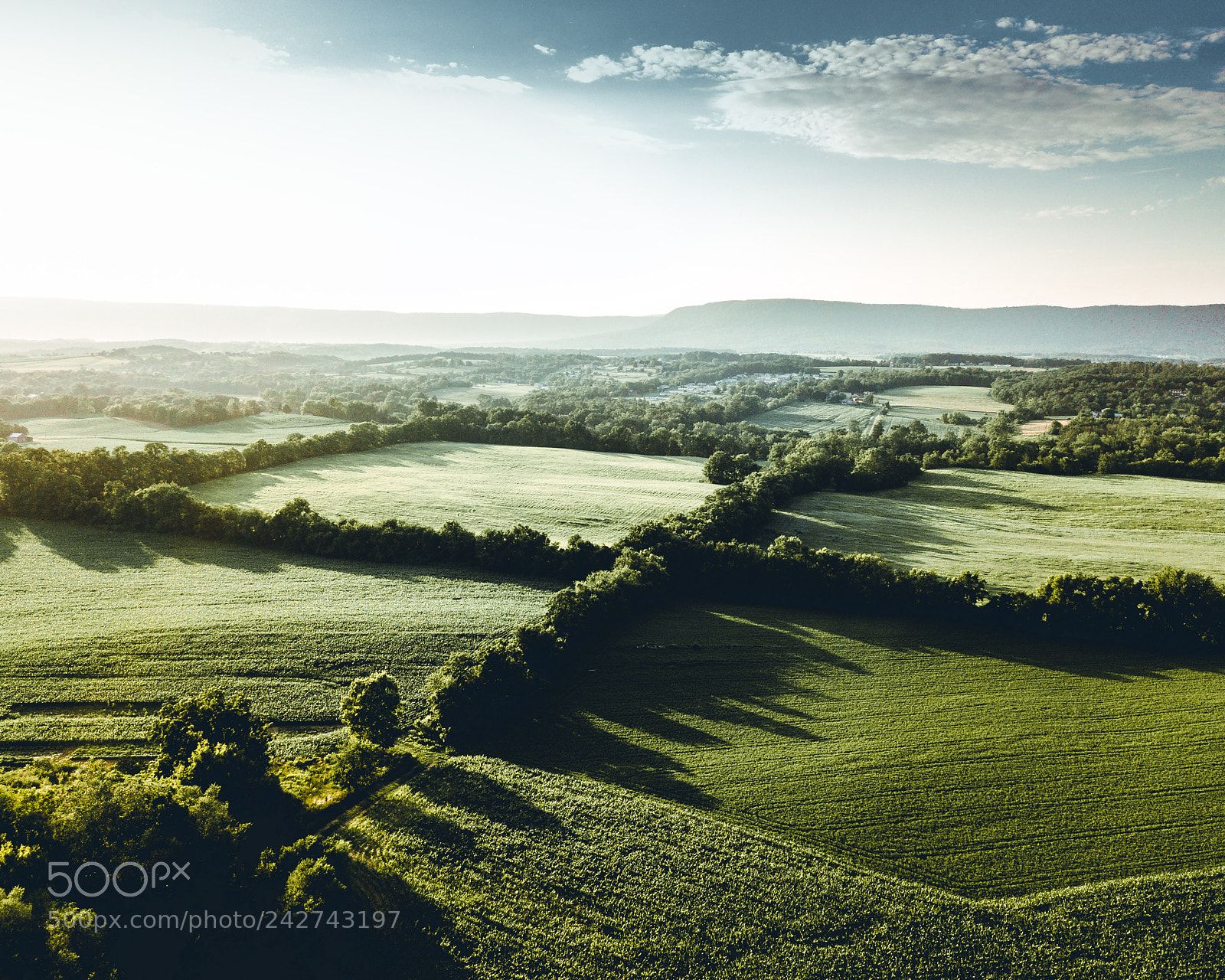 DJI FC220 sample photo. Warmth photography