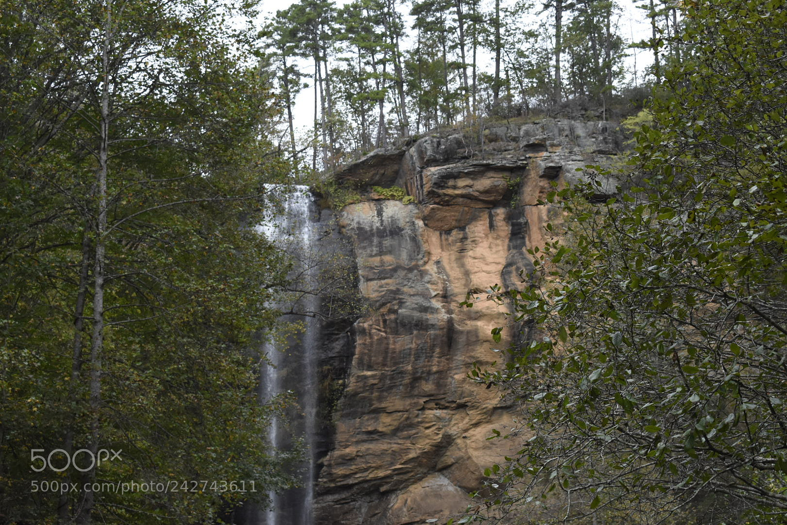 Nikon D3400 sample photo. Fallin water photography