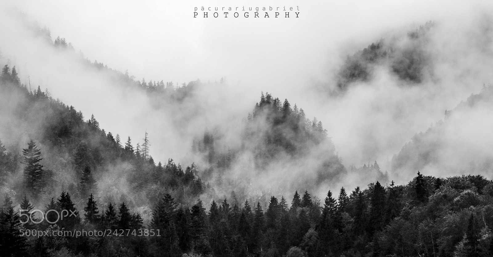 Canon EOS 7D Mark II sample photo. Berteschgaden fog photography