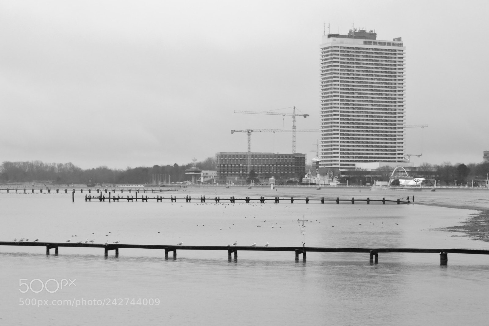 Nikon D3100 sample photo. Rain & beach photography