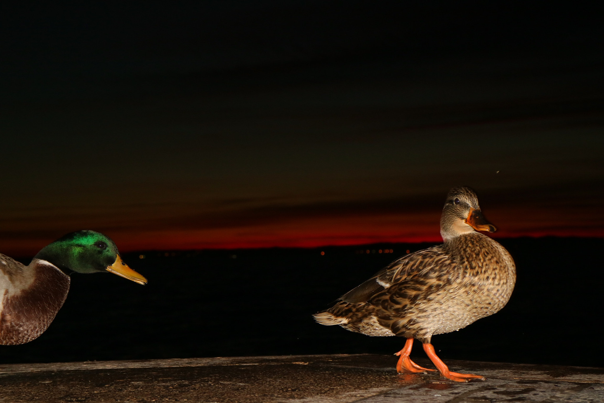 Canon EOS M3 sample photo
