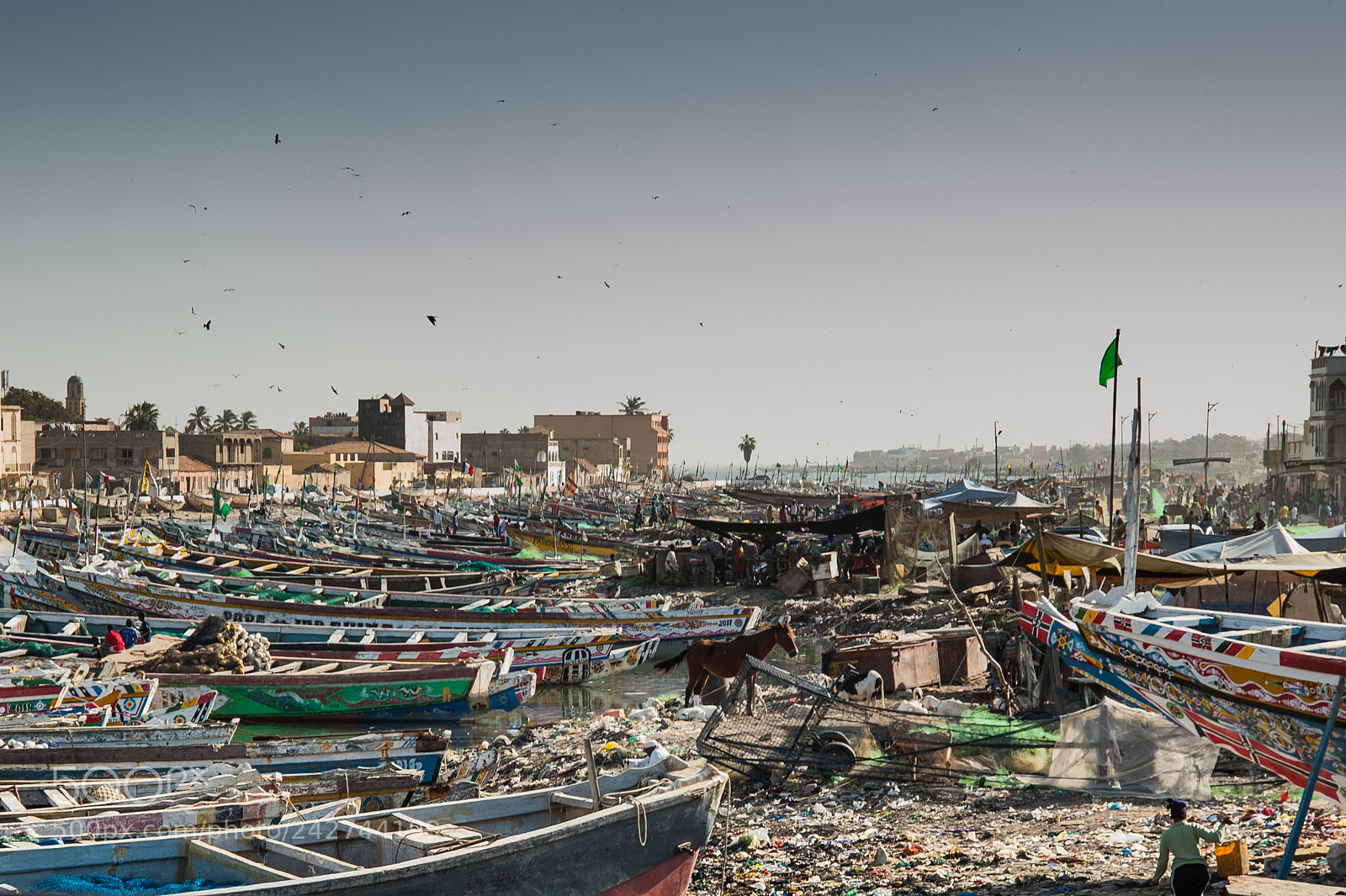 Nikon D700 sample photo. Senegal photography