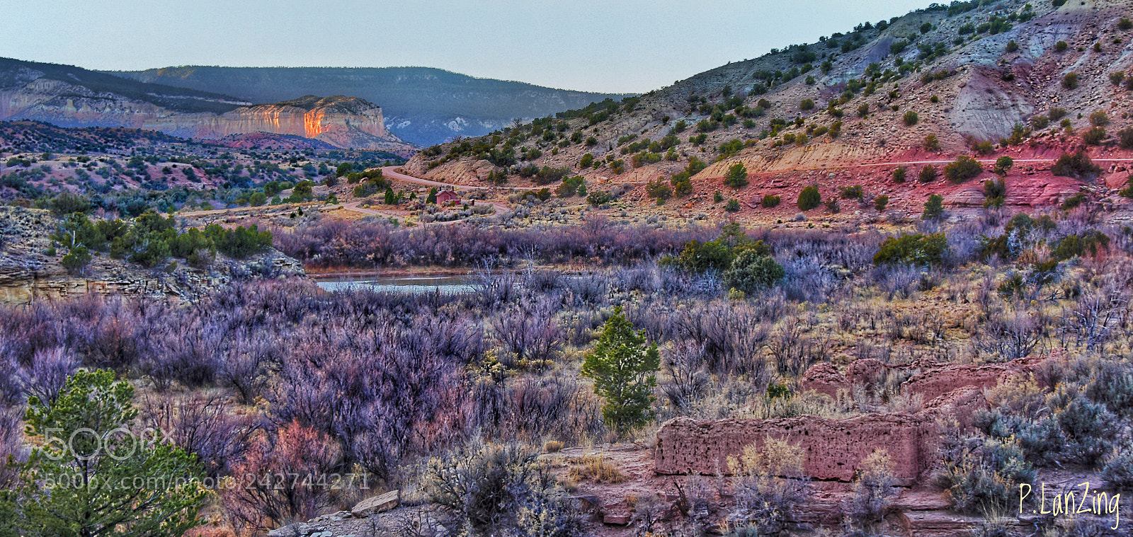 Nikon D810 sample photo. Painted desert photography