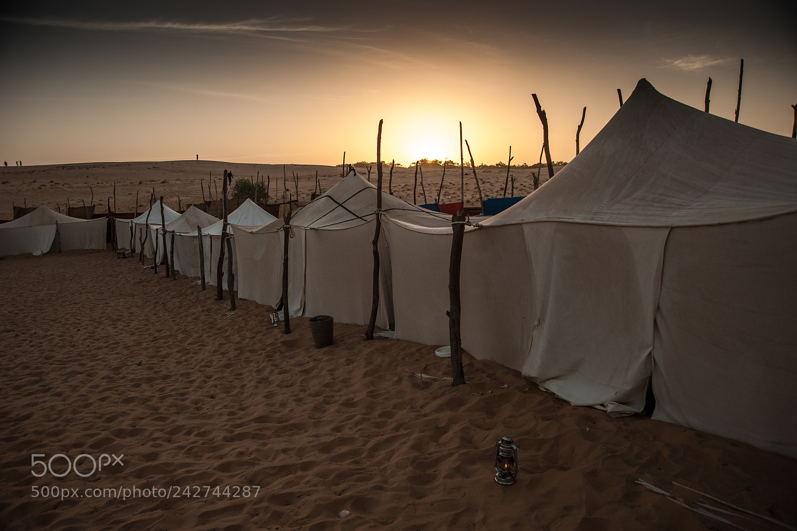 Nikon D700 sample photo. Senegal photography