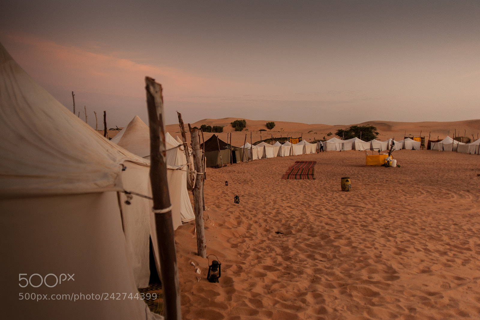 Nikon D700 sample photo. Senegal photography