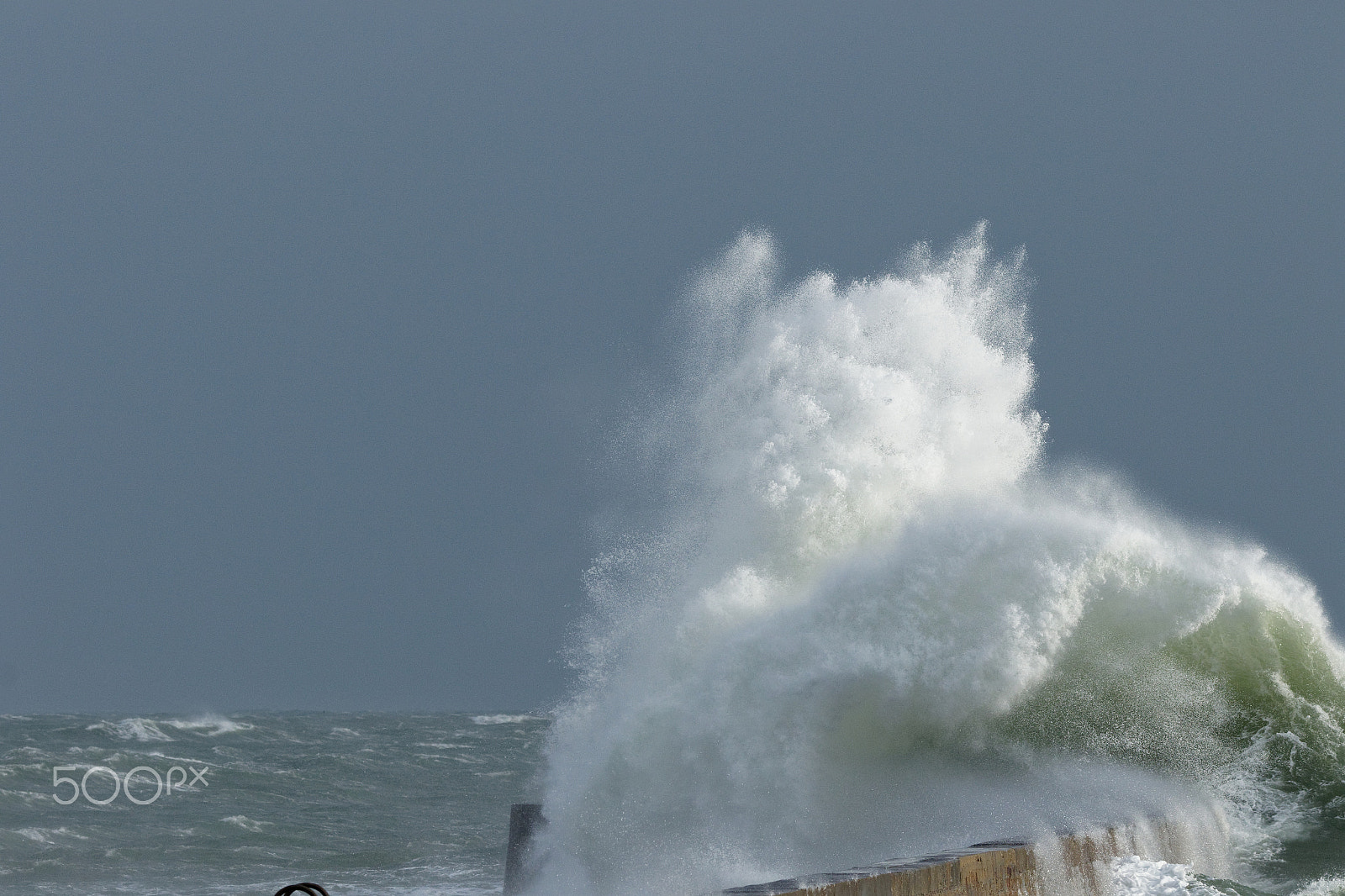 Tamron SP 150-600mm F5-6.3 Di VC USD sample photo. Vague photography