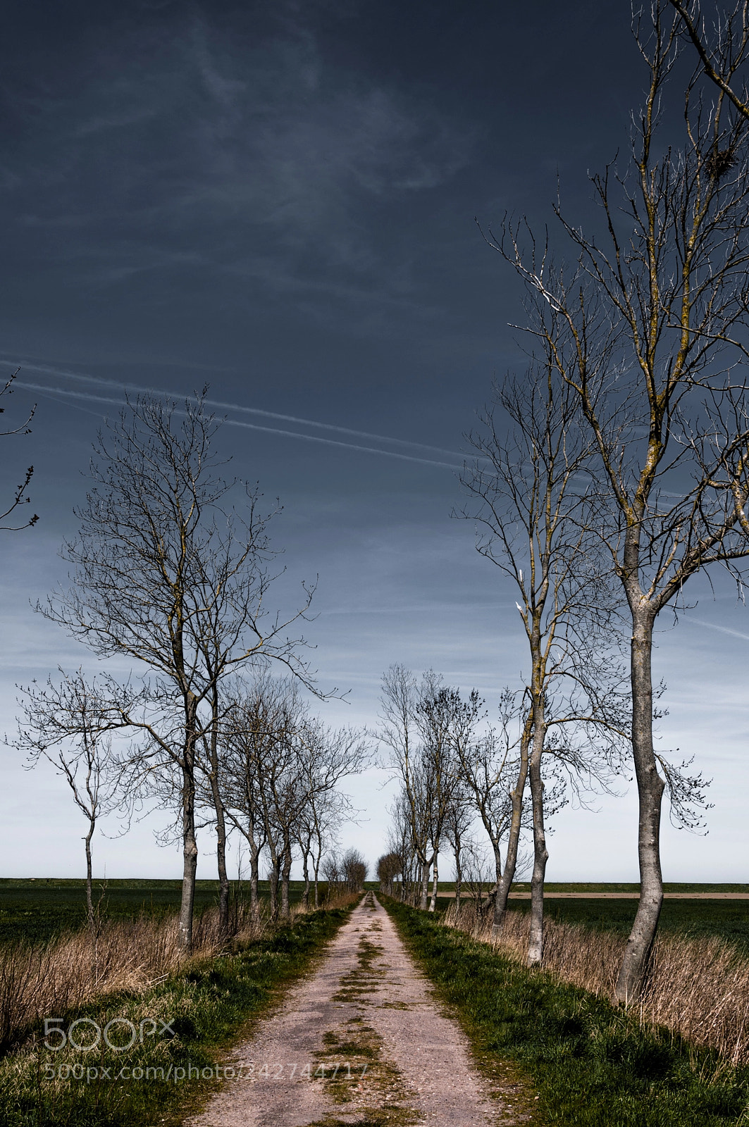 Nikon D90 sample photo. Way to the beach photography