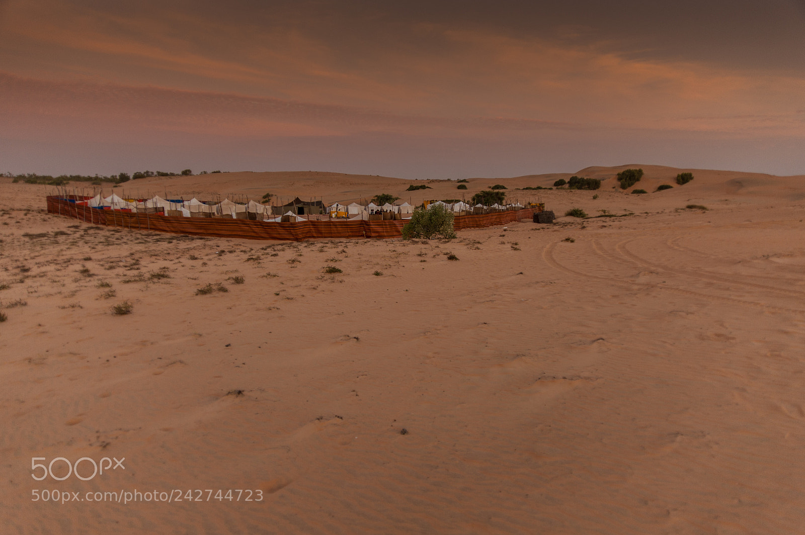 Nikon D700 sample photo. Senegal photography