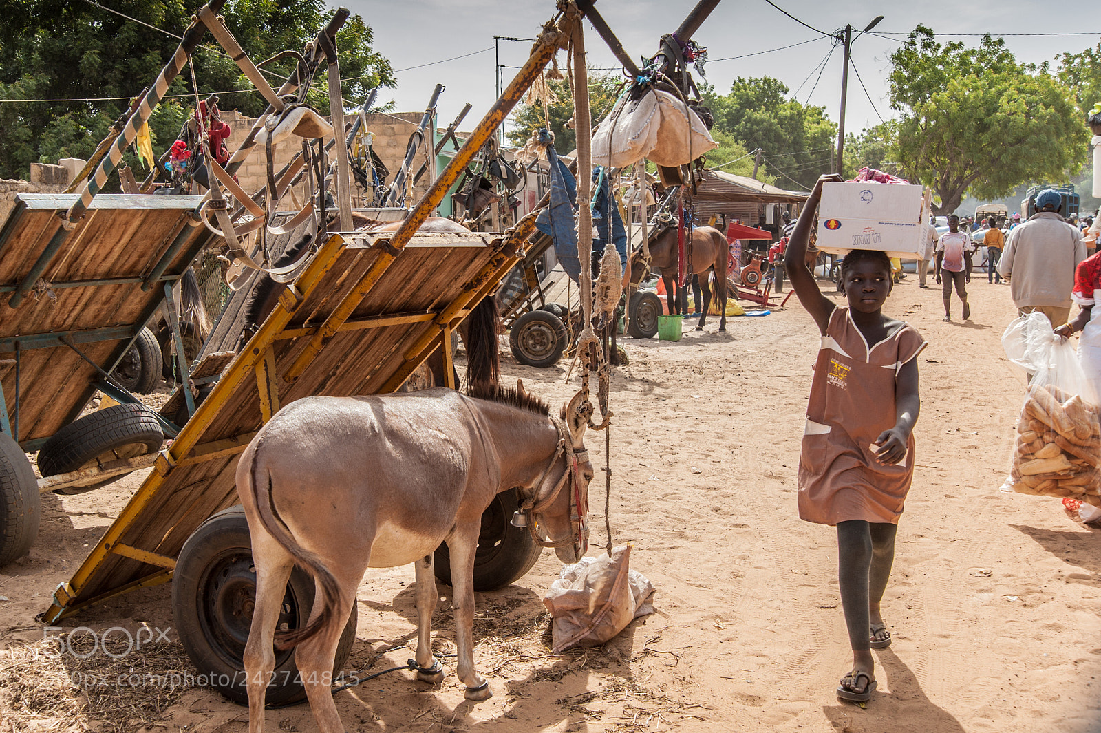 Nikon D700 sample photo. Senegal photography