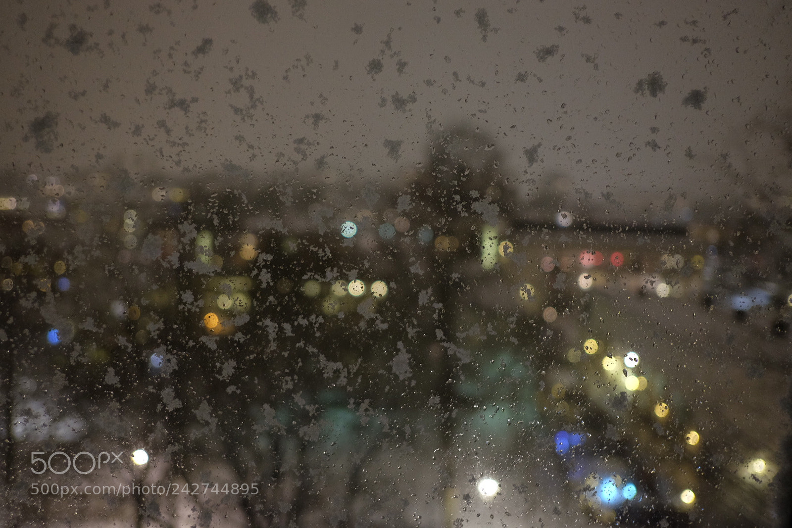 Fujifilm X-T1 sample photo. Untitled photography