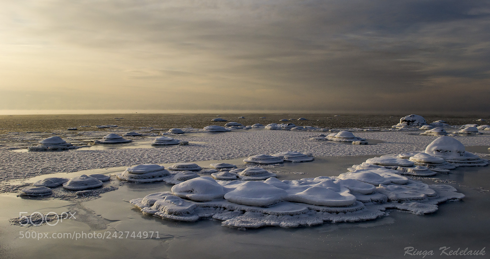 Nikon D3100 sample photo. Frozen world photography