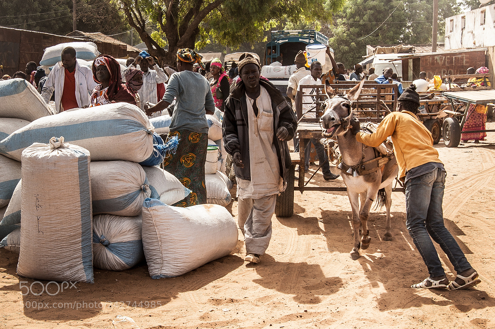 Nikon D700 sample photo. Senegal photography