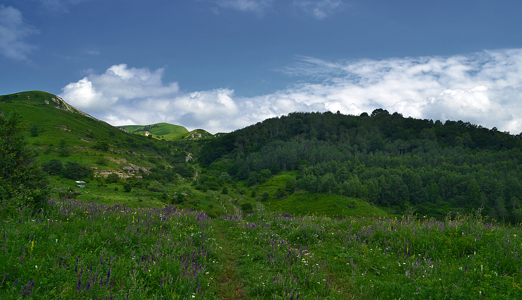 Nikon D3100 sample photo. Long way to the pass photography