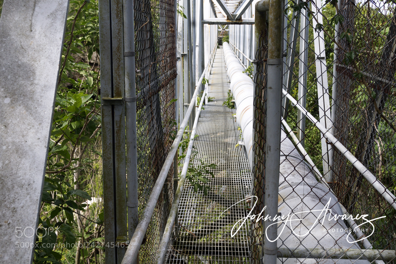 Sony SLT-A65 (SLT-A65V) sample photo. La bellaca photography