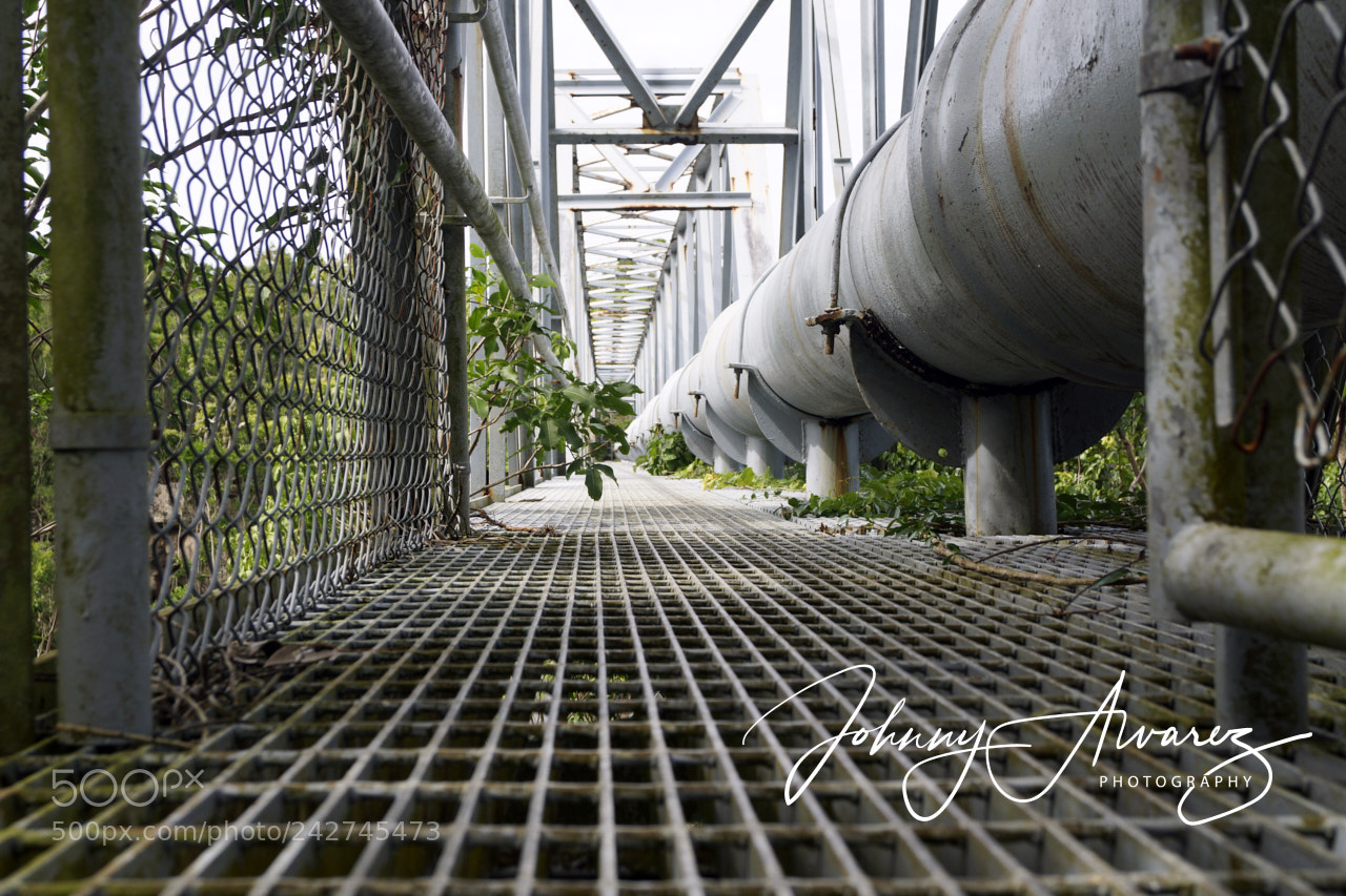 Sony SLT-A65 (SLT-A65V) sample photo. La bellaca photography