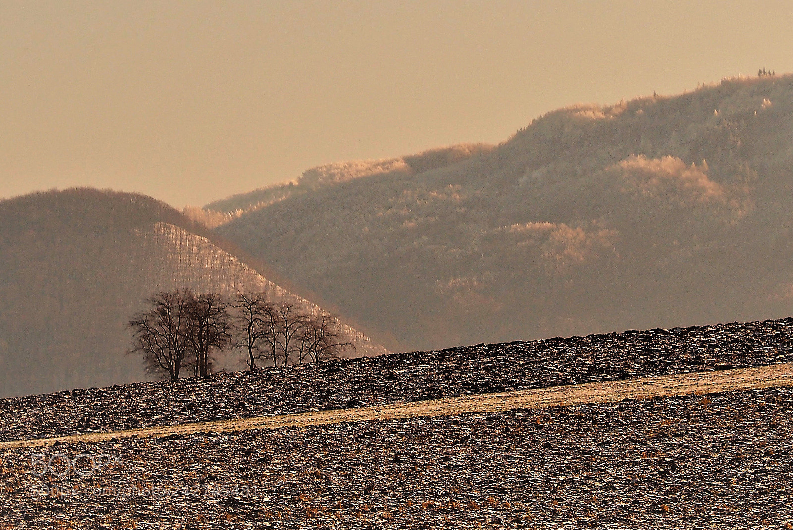 Olympus OM-D E-M10 sample photo. ... photography