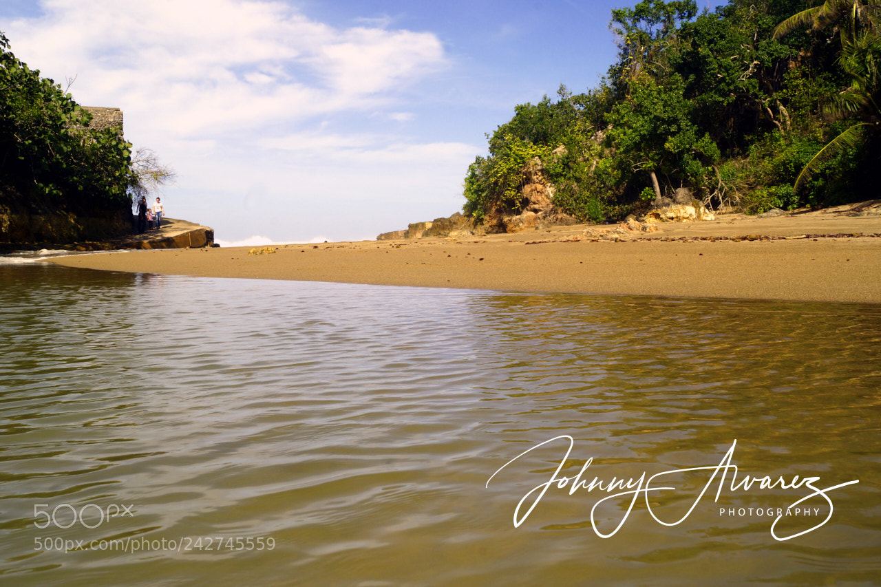 Sony SLT-A65 (SLT-A65V) sample photo. La bellaca photography