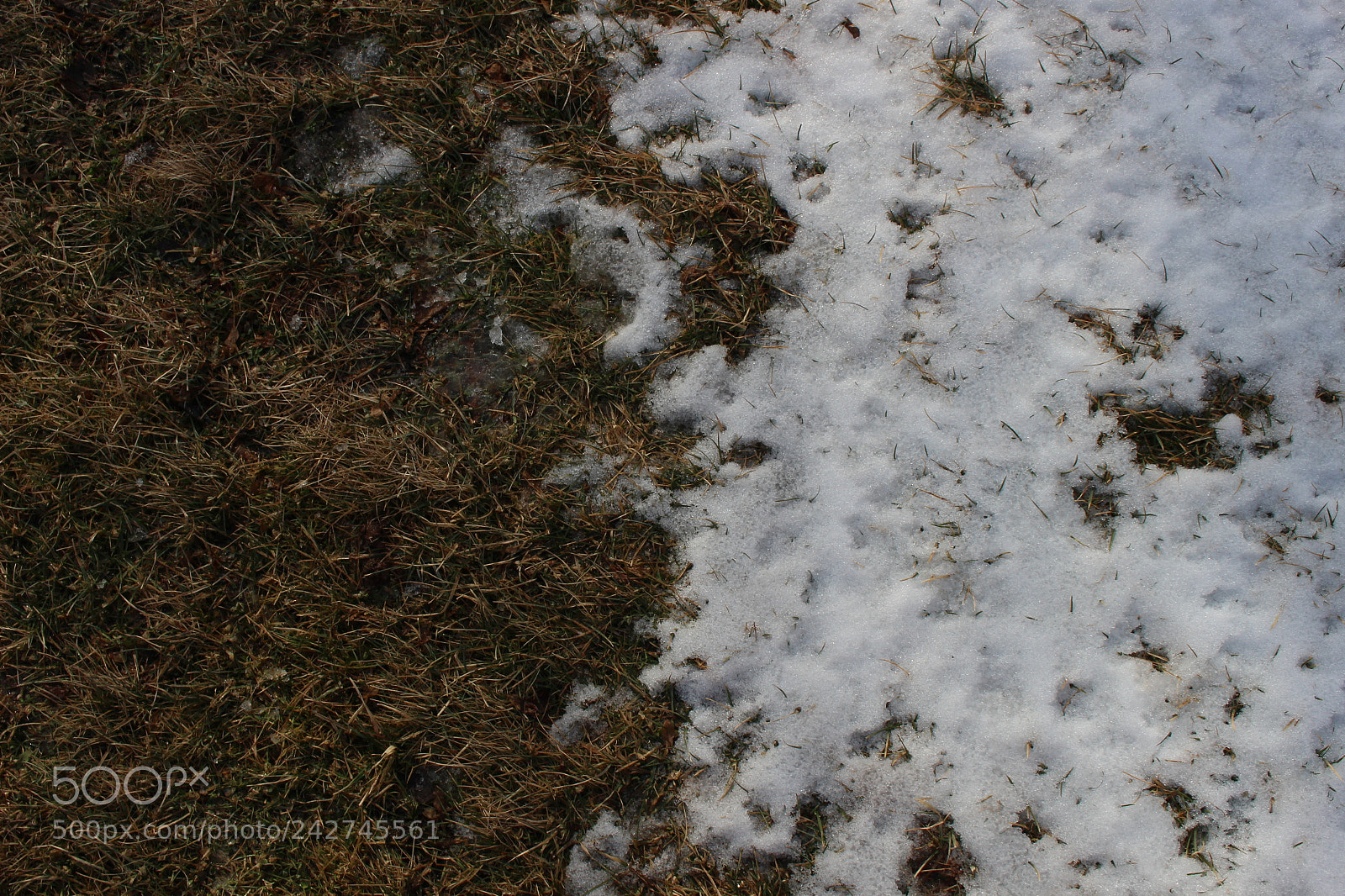 Canon EOS 100D (EOS Rebel SL1 / EOS Kiss X7) sample photo. Winter in the maritimes photography