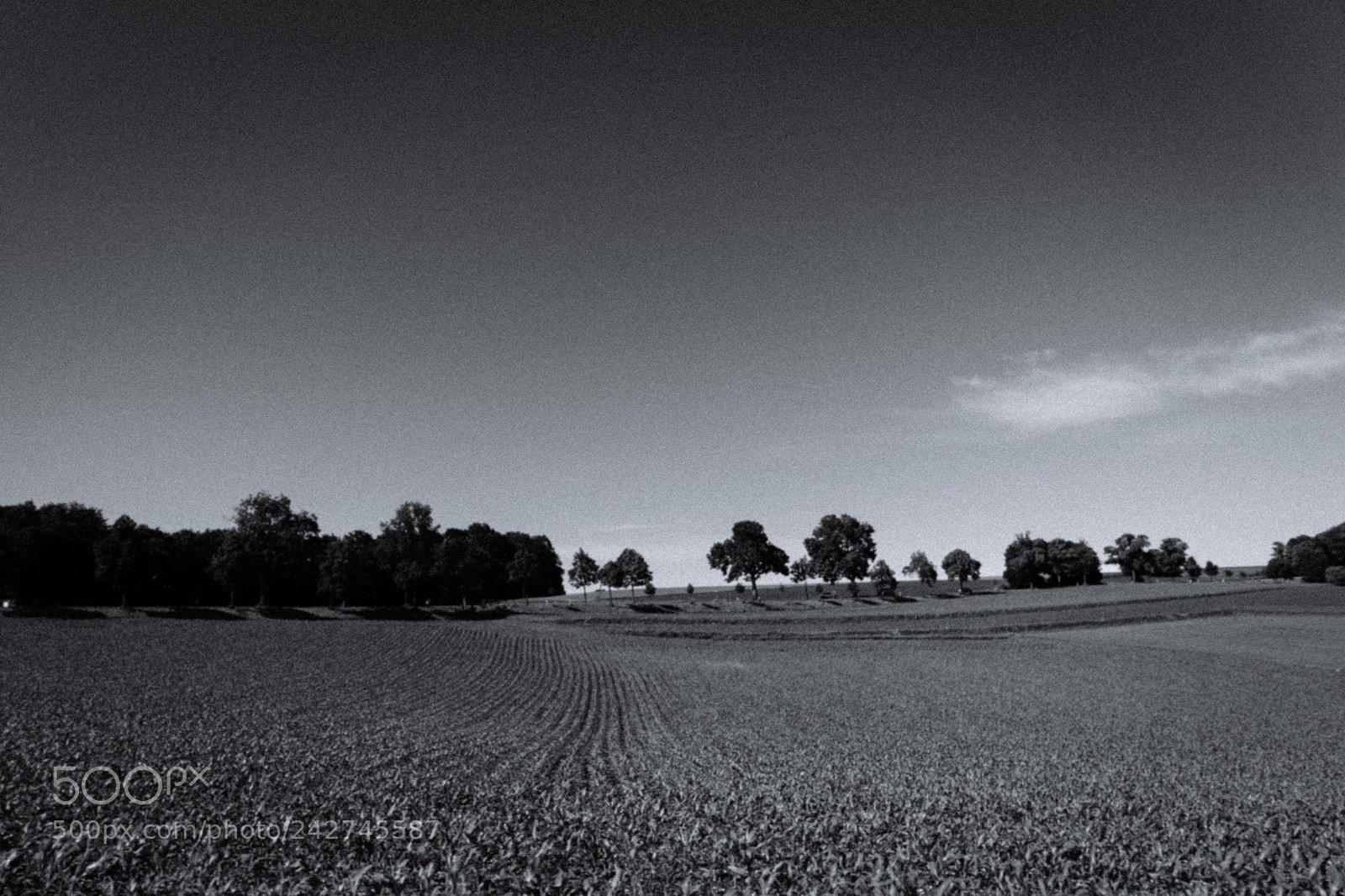 Sony SLT-A68 sample photo. Random bavarian landscapes photography