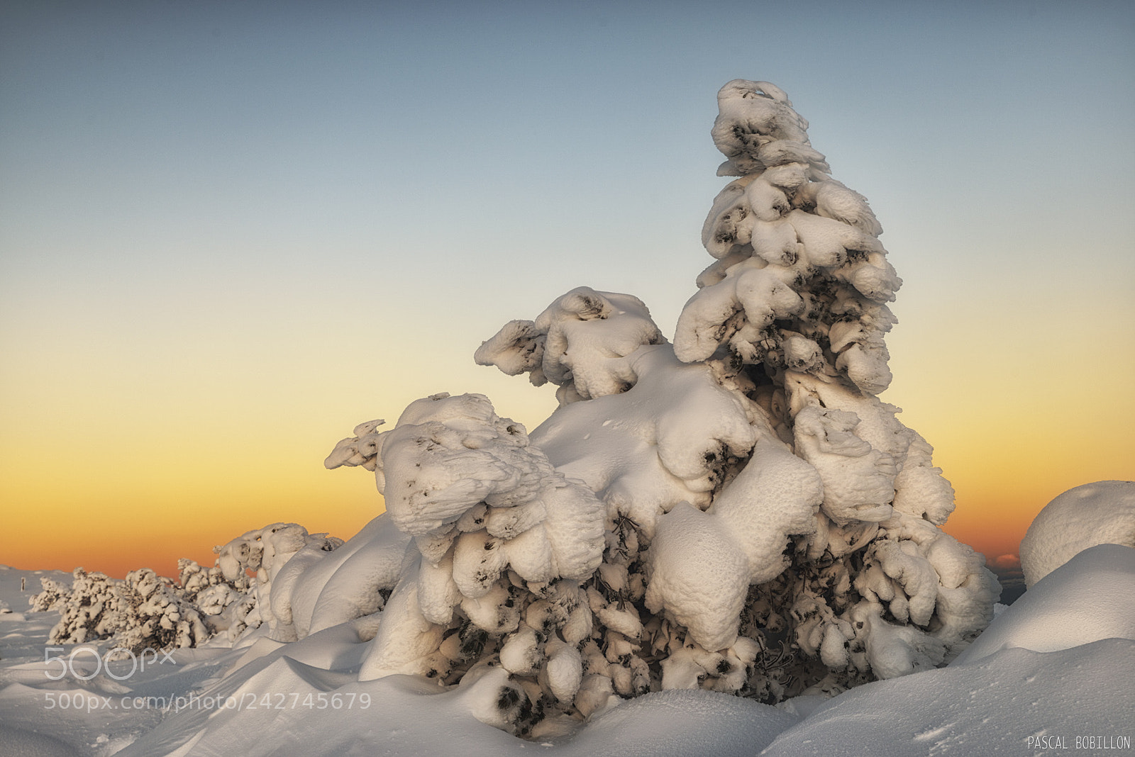 Nikon D800 sample photo. Mont aigoual photography