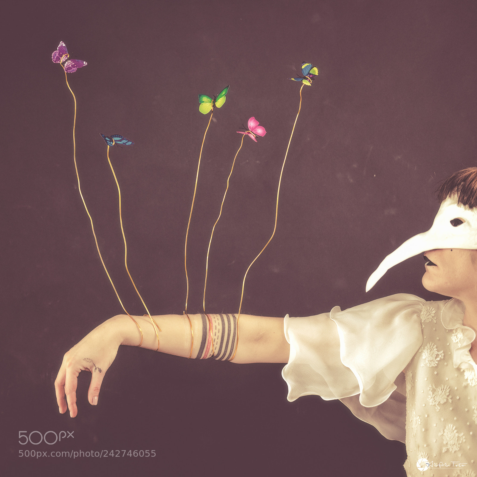 Nikon D610 sample photo. Minute papillons photography