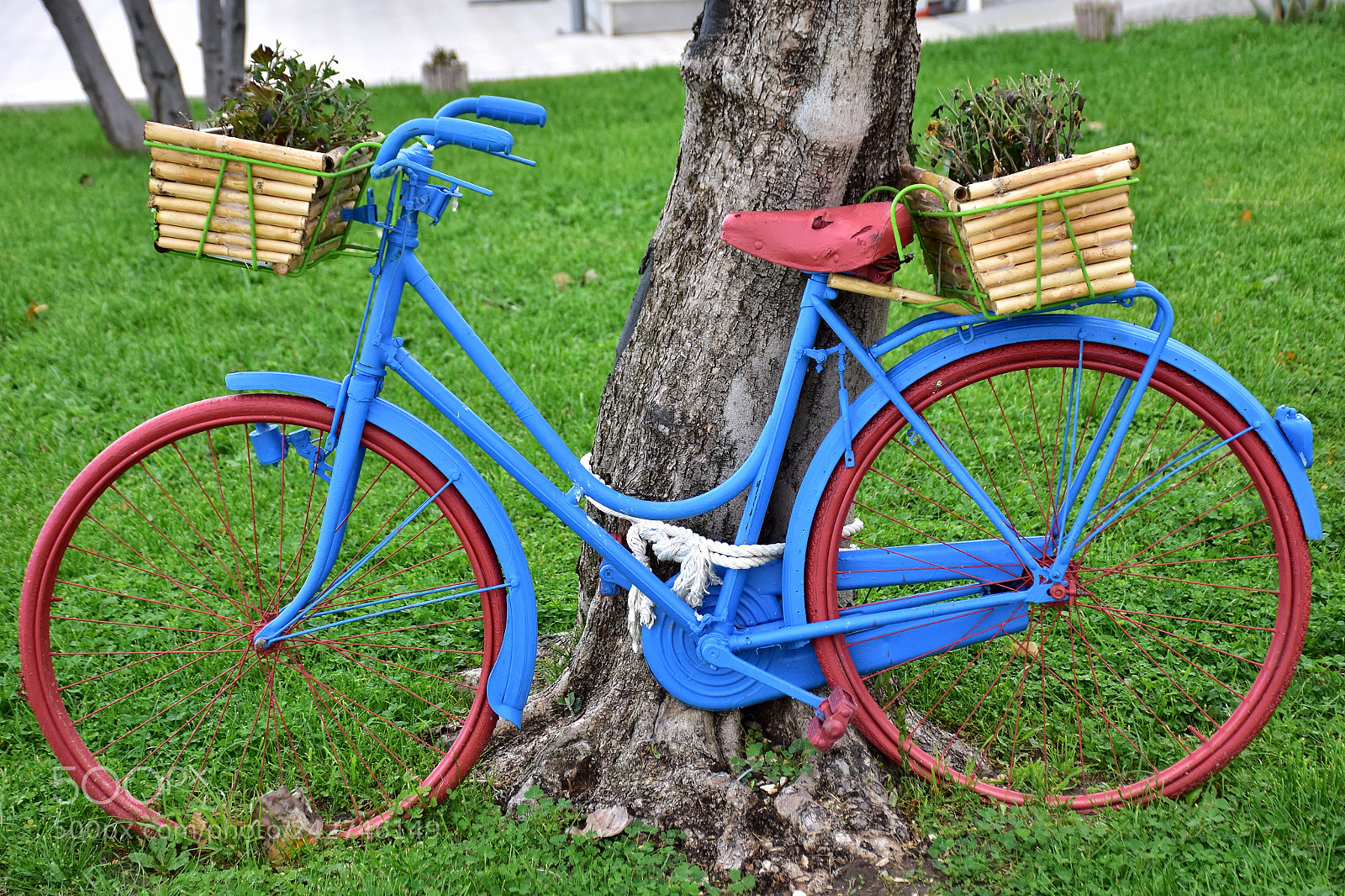 Nikon D7200 sample photo. Bike photography