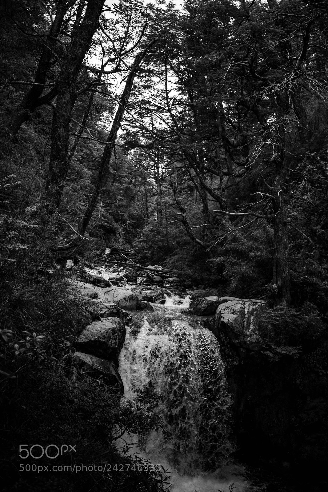 Nikon D5200 sample photo. Incayal waterfall photography