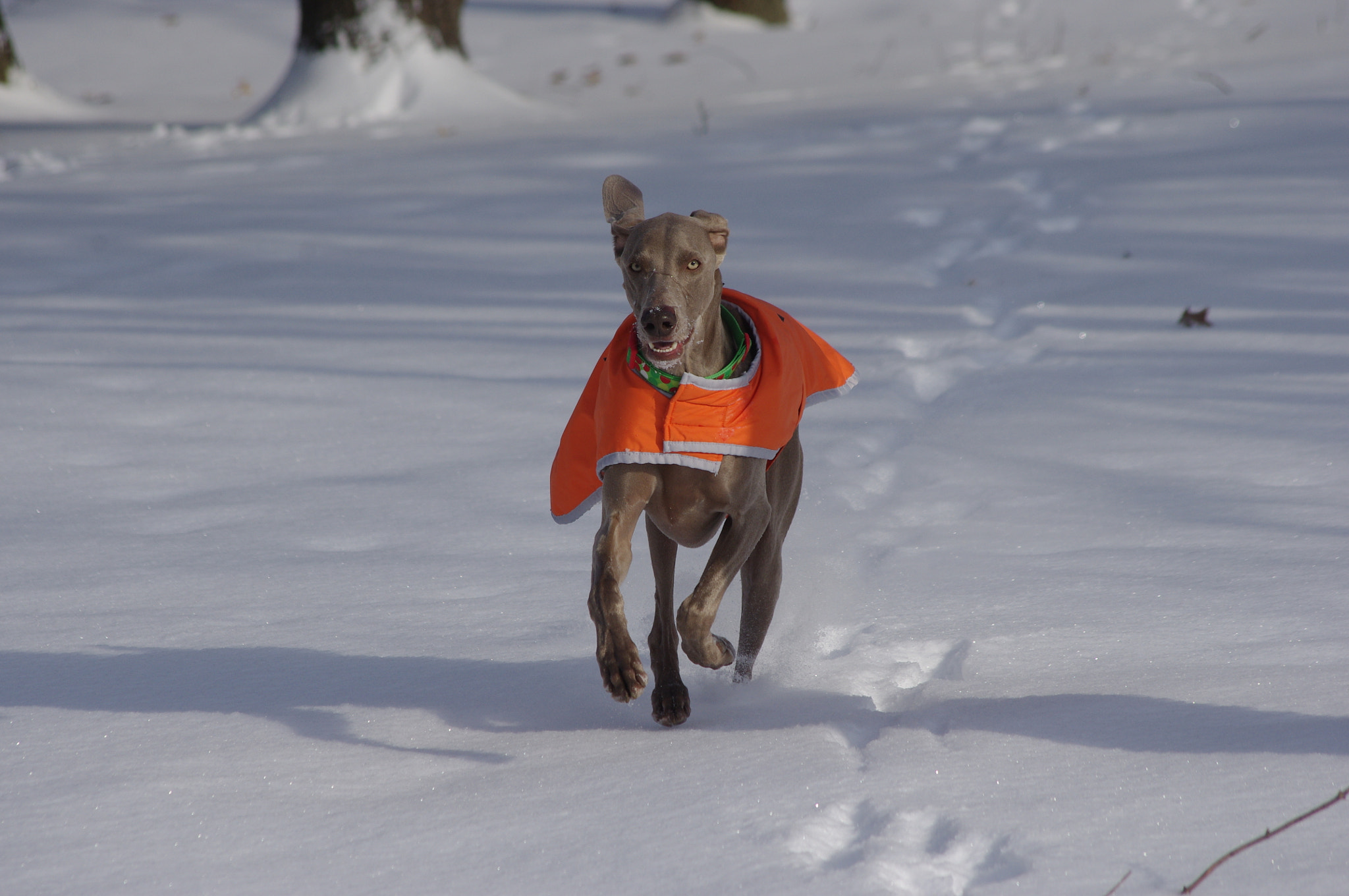 Pentax K-x sample photo. Luciano flying through the snow  photography