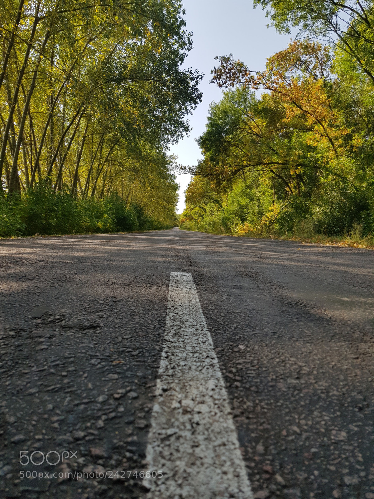Samsung Galaxy S8 sample photo. 20170919_130903.jpg photography