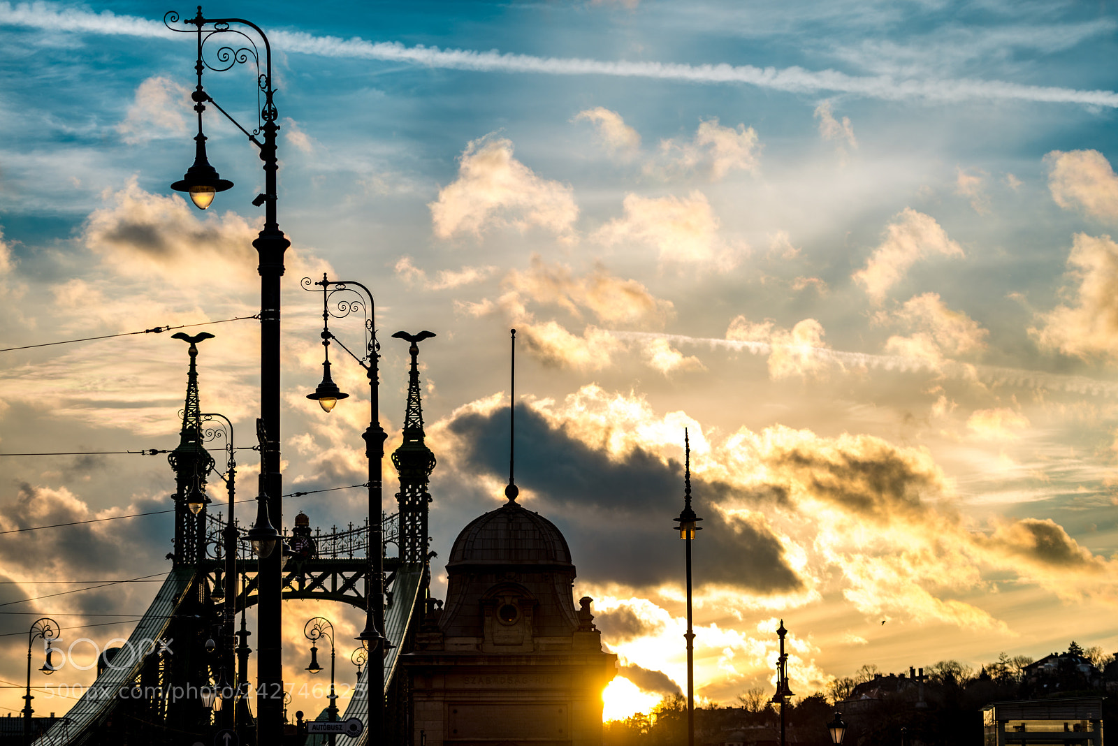 Nikon D800 sample photo. Budapest liberty bridge, hungary photography