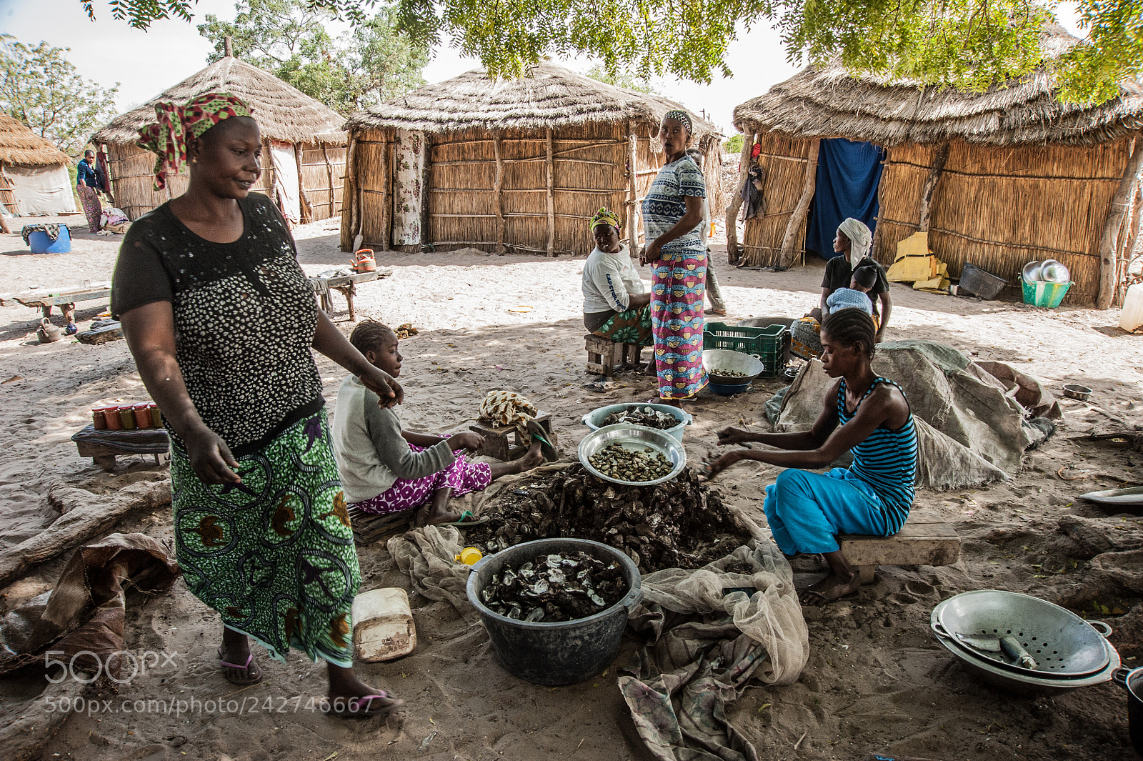 Nikon D700 sample photo. Senegal photography