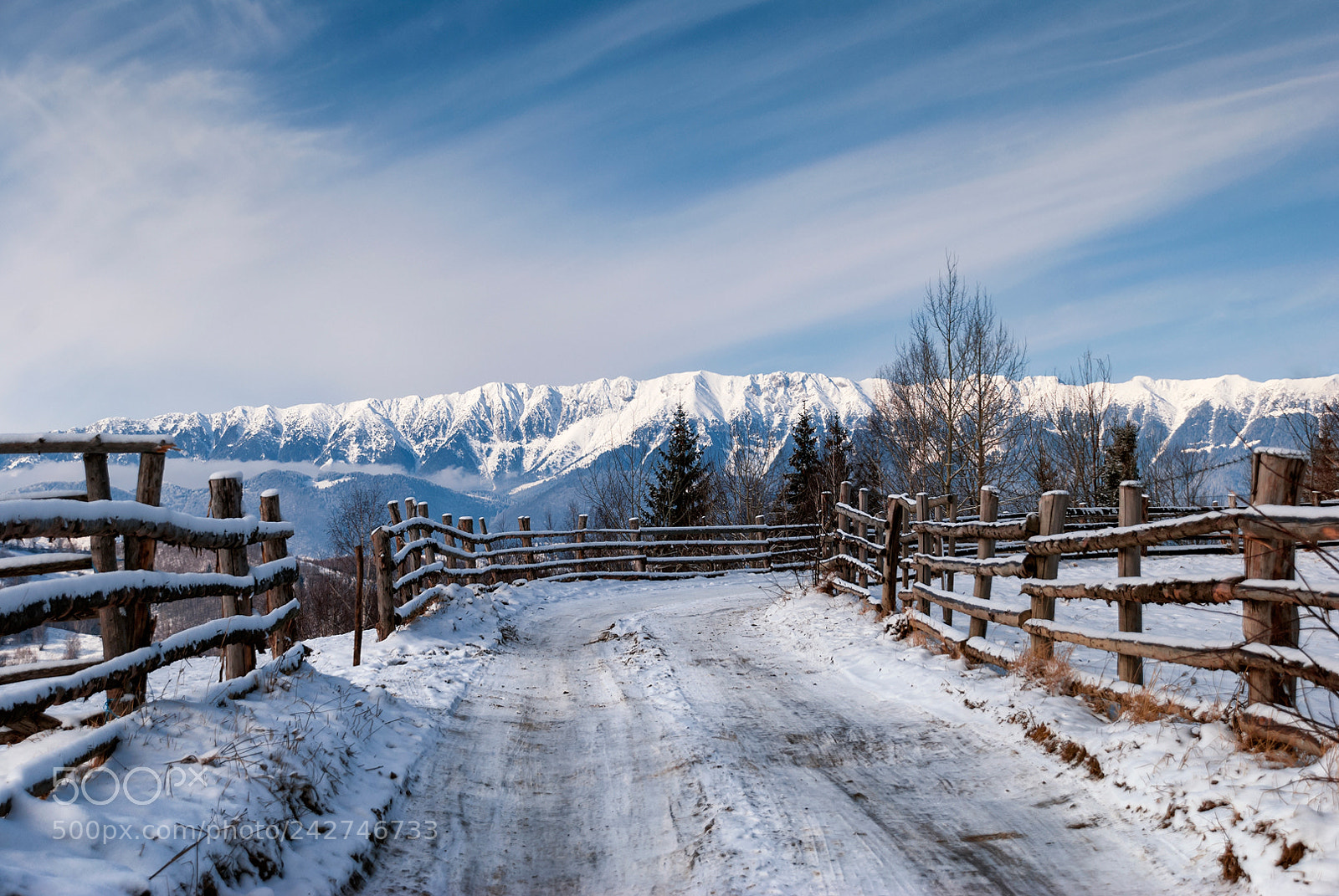Nikon D80 sample photo. Winter road photography