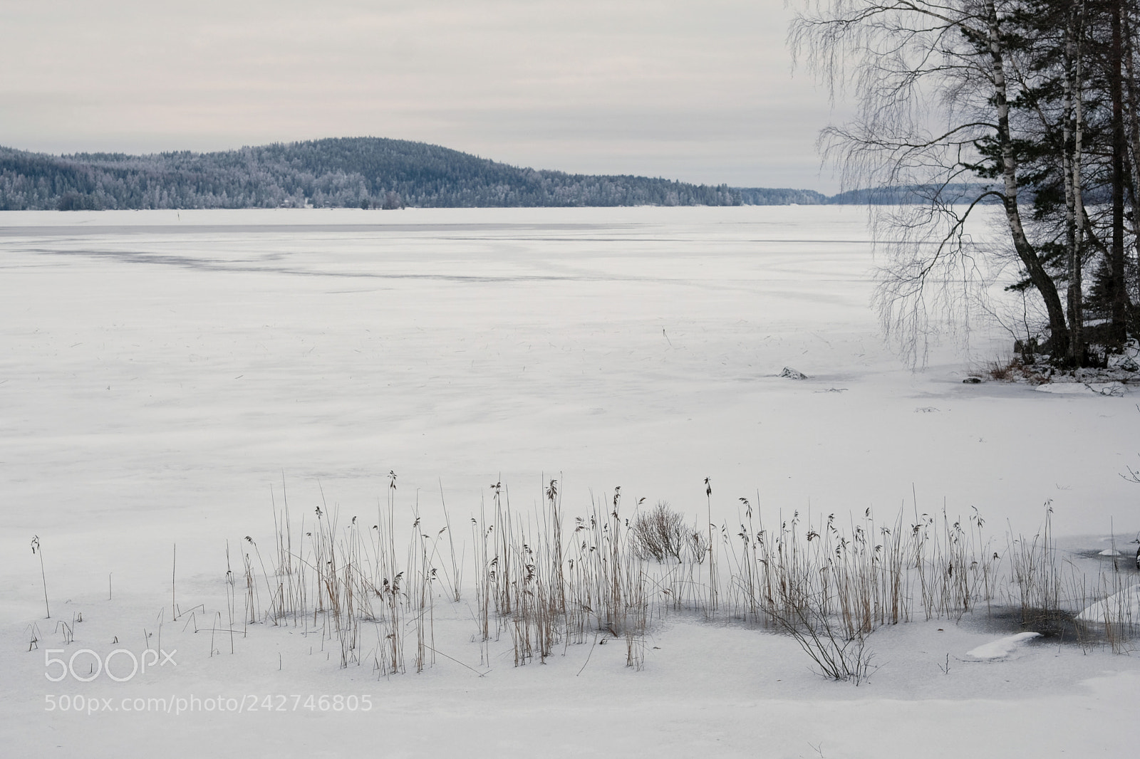 Fujifilm X-T2 sample photo. Lake photography