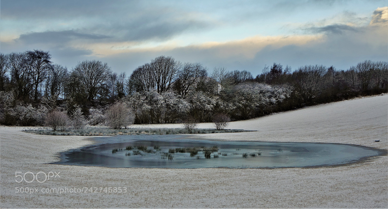 Sony Cyber-shot DSC-RX10 sample photo. Iced over photography
